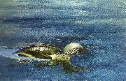 bruno liljefors simmande lom Sweden oil painting artist